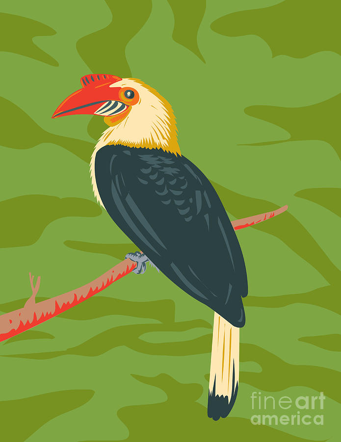 Hornbill Digital Art - Mindanao Wrinkled Hornbill or Aceros leucocephalus WPA Art by Aloysius Patrimonio