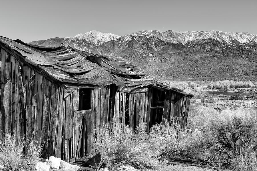 Miner Shack in Black and White  Photograph by Kathleen Bishop