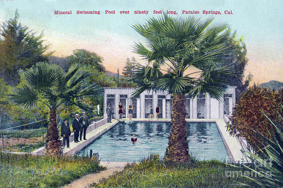 Mineral Photograph - Mineral Swimming Pool over ninety feet long, Paraiso Springs, Ca 1910 by Monterey County Historical Society