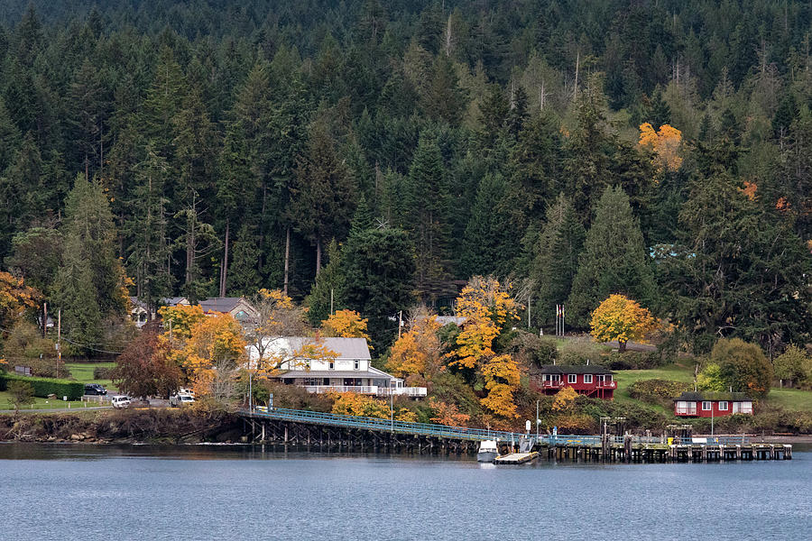 Miners Bay and the Springwater Lodge Photograph by Michael Russell