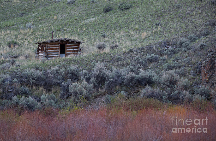 Nature Photograph - Miners Shack by Idaho Scenic Images Linda Lantzy