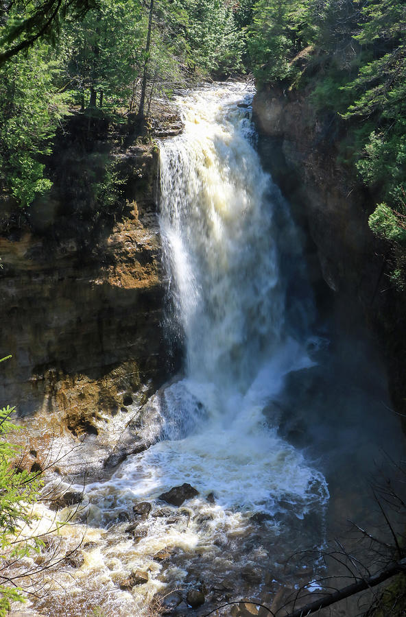 Miners Waterfall Vertical Photograph by Dawn Richards