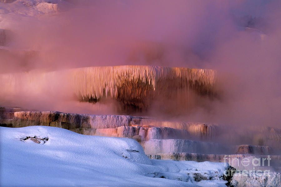 Minerva Springs Yellowstone National Park Wyoming Photograph by Dave Welling
