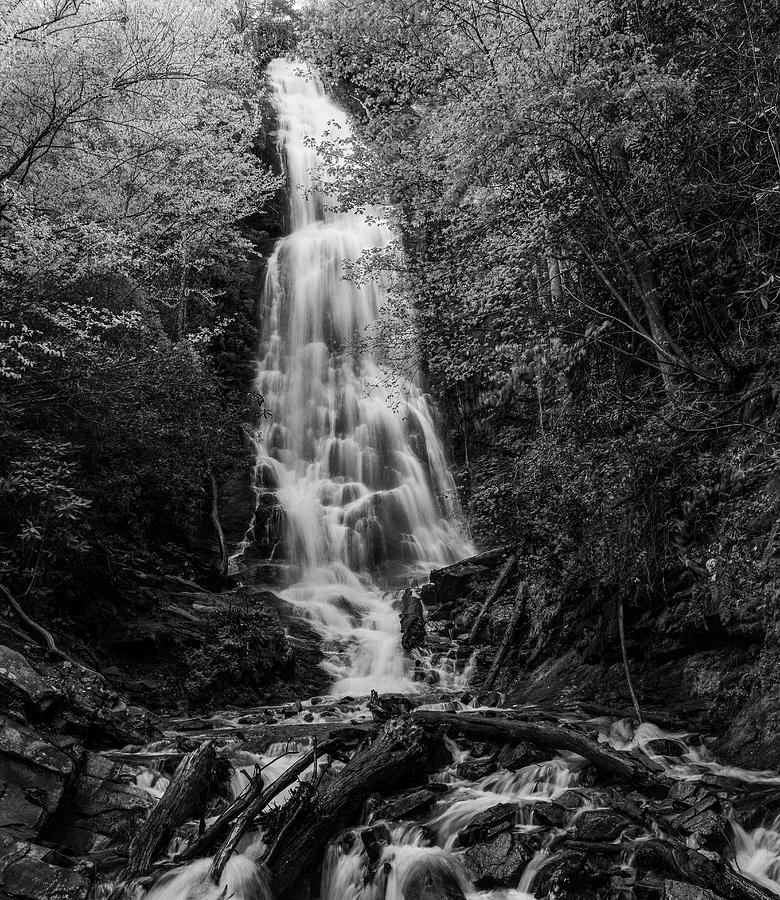 Mingo Falls Black And White Smoky Mountains Photograph by Dan Sproul