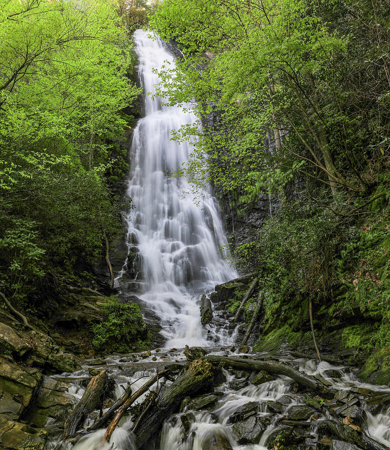 Mingo Falls In Spring Smoky Mountains Photograph by Dan Sproul