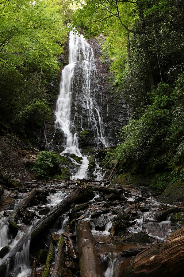 Mingo Falls in the Springtime Photograph by Carol Montoya