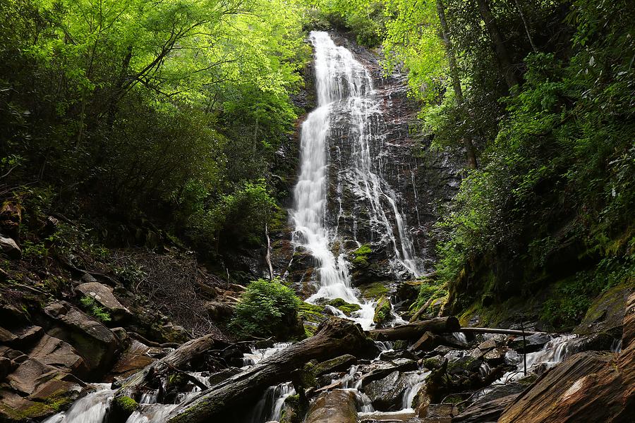 Mingo Falls in the Springtime II Photograph by Carol Montoya