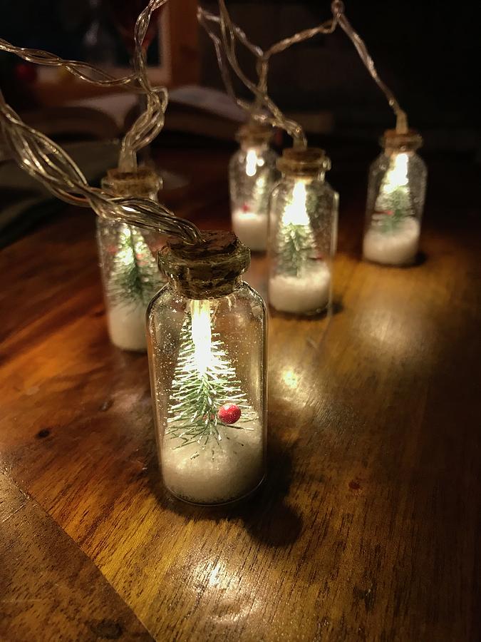 Mini Bottled Tree Lights  Photograph by Brenna Woods