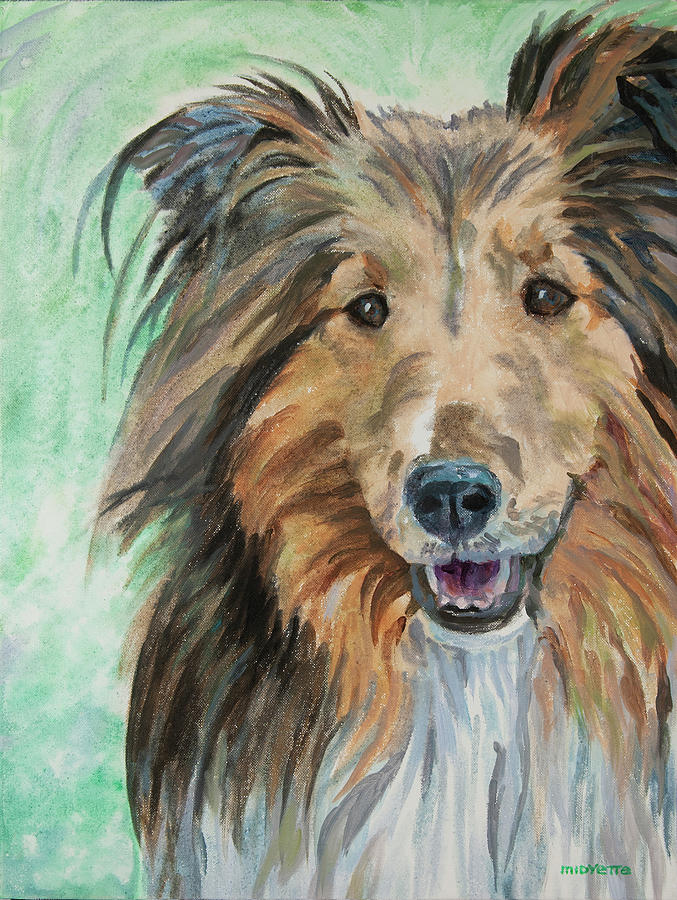 mini Collie Painting by Tommy Midyette