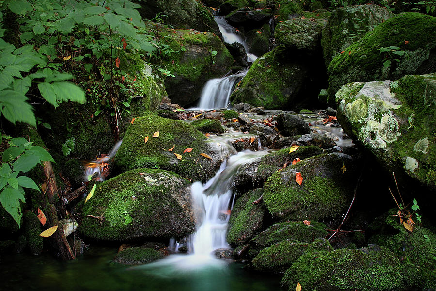 Mini Falls Photograph by Gary Yost