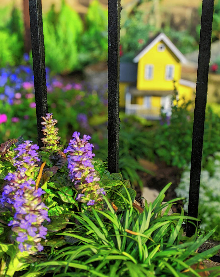 Mini Garden Happy Home Photograph by Portia Olaughlin