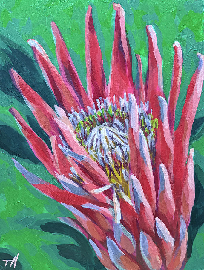 Mini King Protea Painting by Victoria Voner - Fine Art America