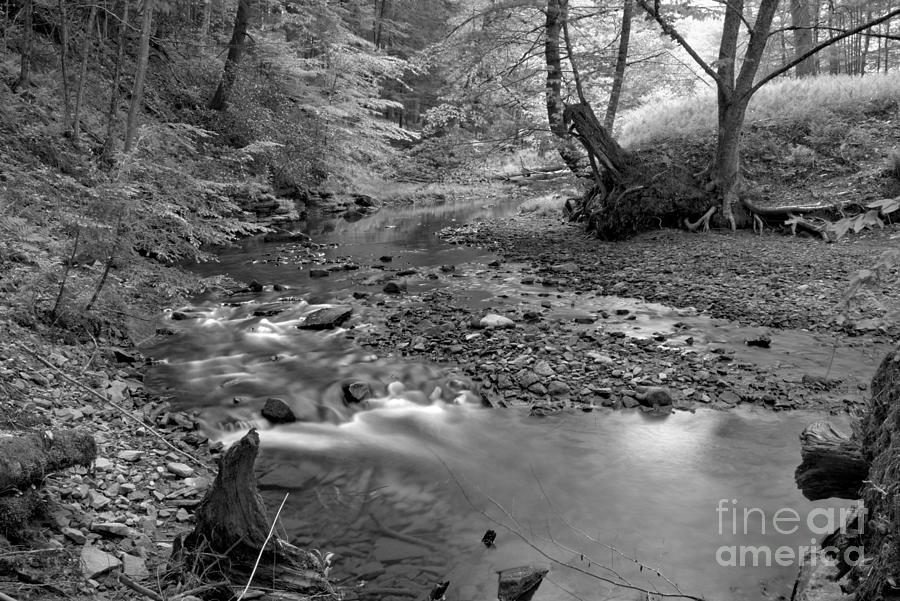 Mini Rapids In Toms Run Black And White Photograph by Adam Jewell