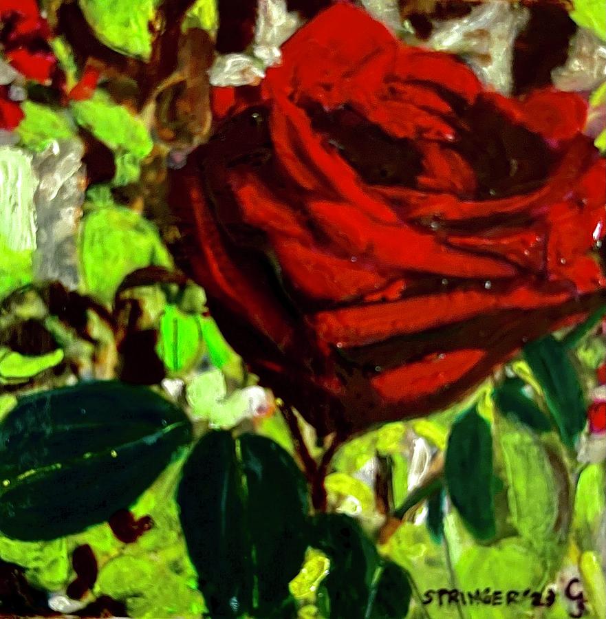 Mini Vibrant Red Rose Painting by Gary Springer