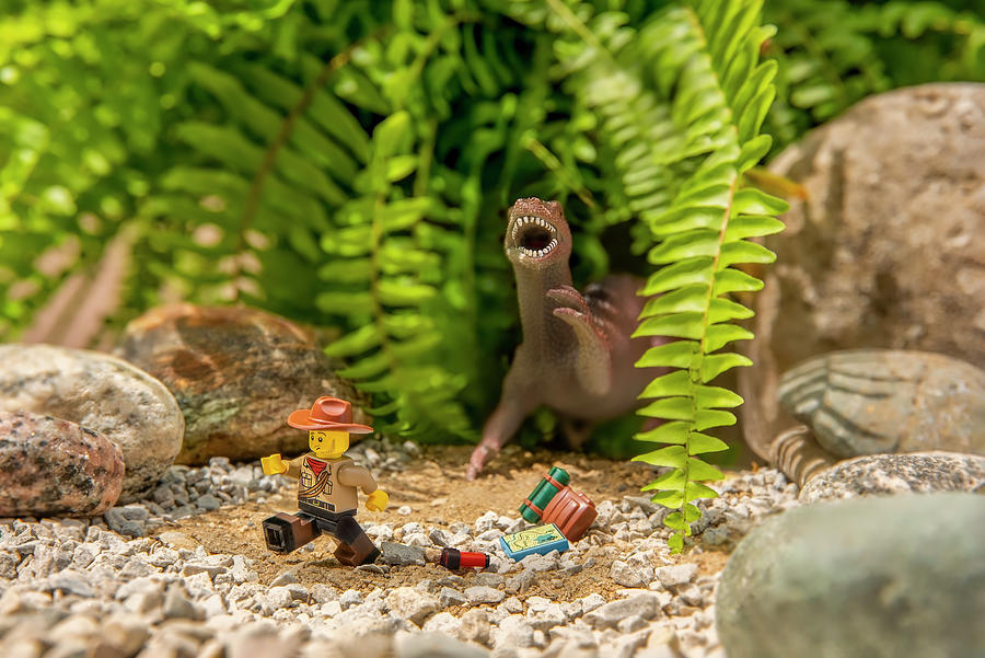 Miniature Jurassic Adventure No. 1 Photograph by Irwin Seidman