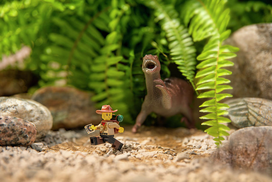 Miniature Jurassic Adventure No. 2 Photograph by Irwin Seidman