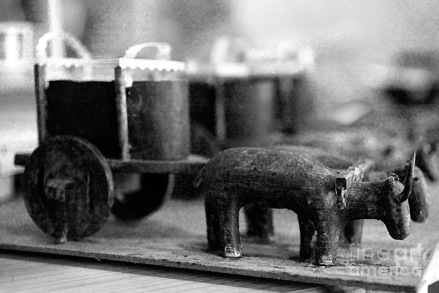 Miniature Oxen-carts Photograph