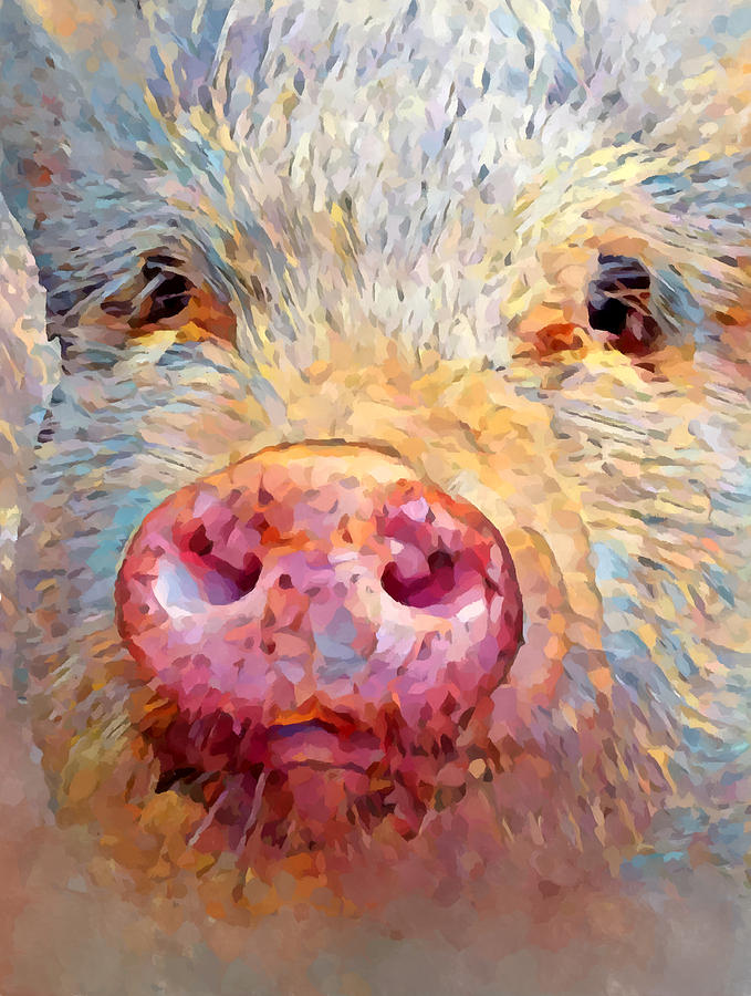 Miniature Pig 2 Painting by Chris Butler