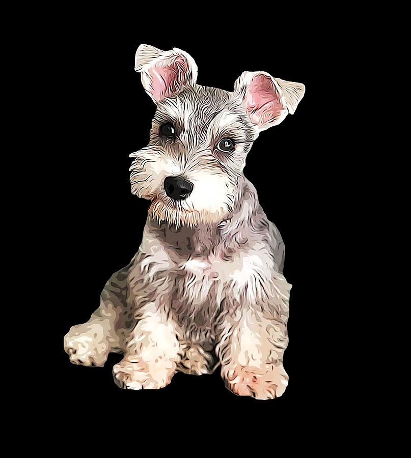 Miniature Schnauzer Poster gift Painting by Ethan Bennett | Fine Art ...