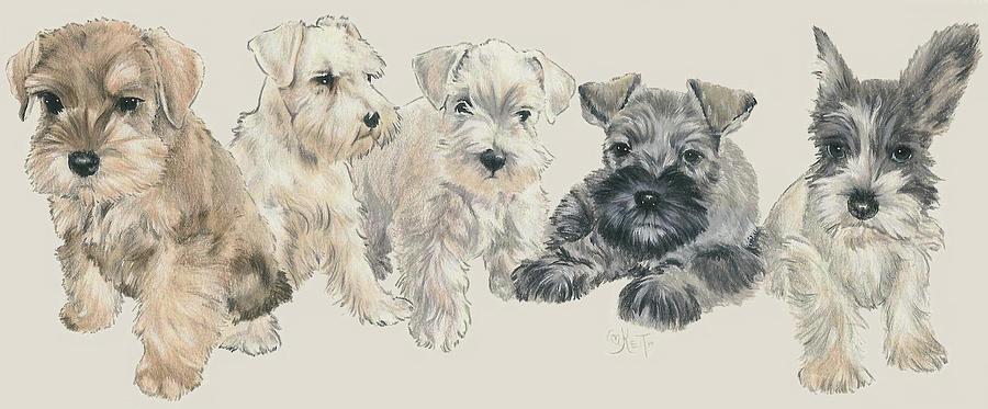 Miniature Schnauzer Puppers Mixed Media by Barbara Keith