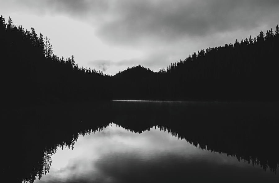 Minimal Forest Reflection Black And White Photograph by Dan Sproul