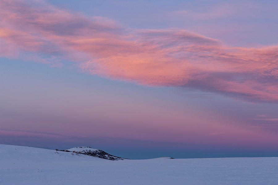 Minimal Landscape In Winter Photograph by Denise Bush