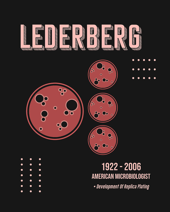 Minimal Science Poster - Esther Lederberg - Microbiologist Digital Art by Studio Grafiikka