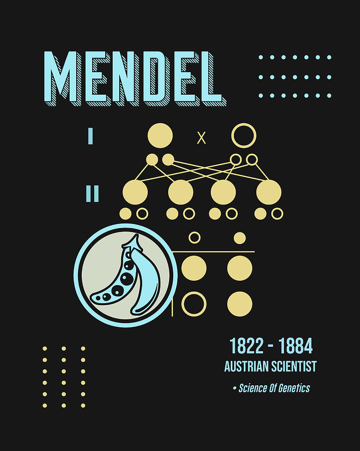 Minimal Science Posters - Gregor Mendel 01 - Geneticist, Scientist ...