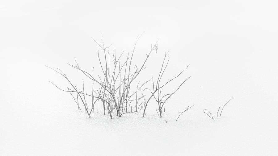 Minimalism Scene In Black And White  Photograph by Jordan Hill