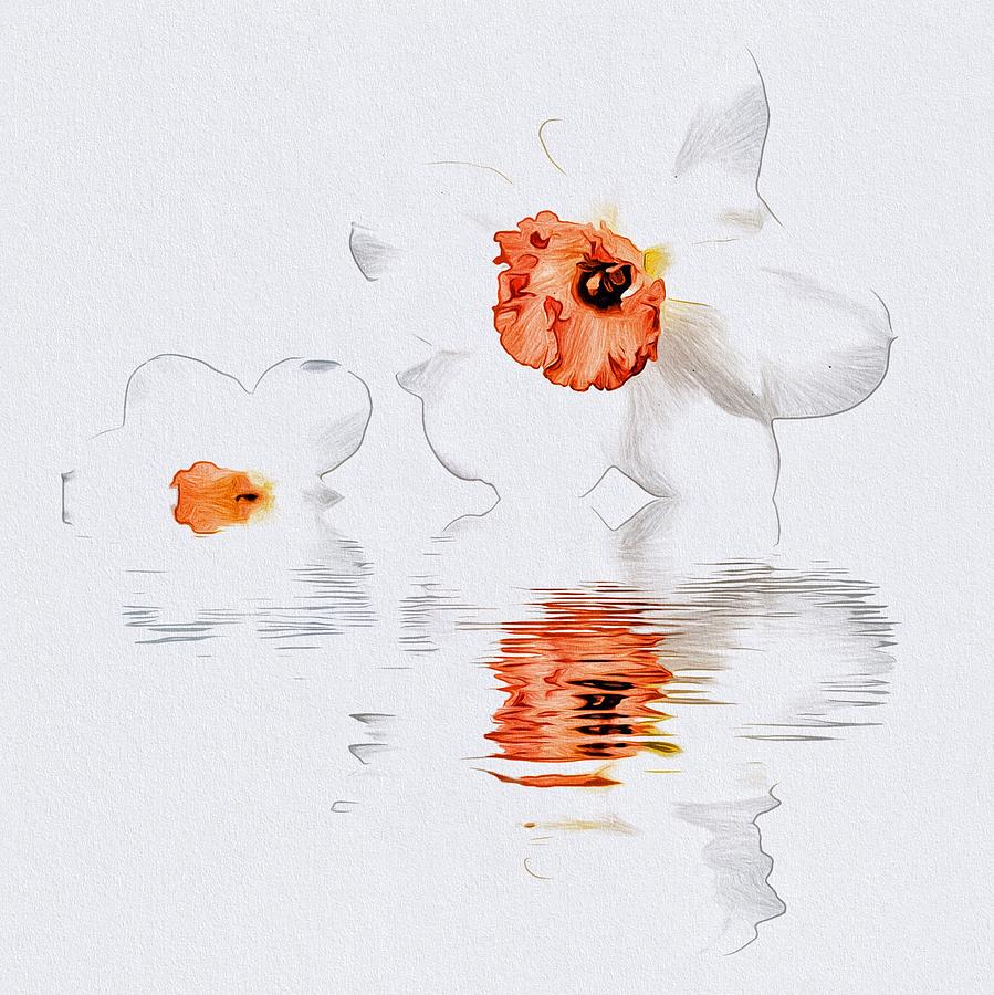 Minimalist Daffodils  Digital Art by Beverly Read
