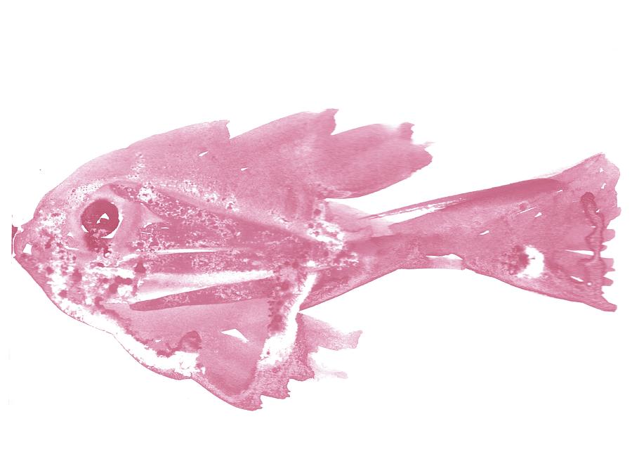 Minimalist Fish in Pink Painting by AList Art Gallery Minimalist Fish in Pink Painting by AList Art Gallery