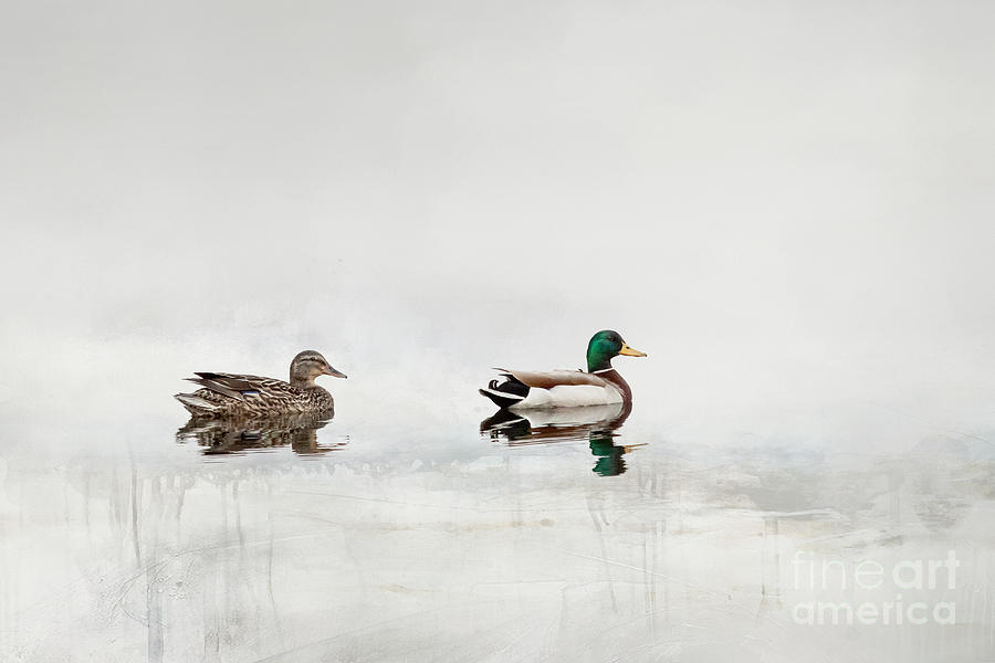 Minimalist Mallard Ducks Digital Art by Jayne Carney