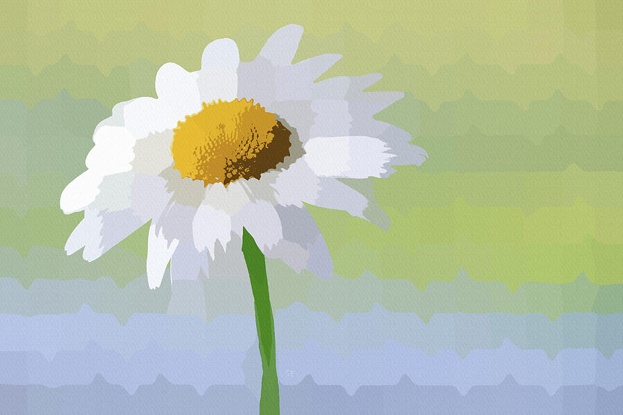 Minimalist Single White Daisy in  Abstract Digital Art by Shelli Fitzpatrick