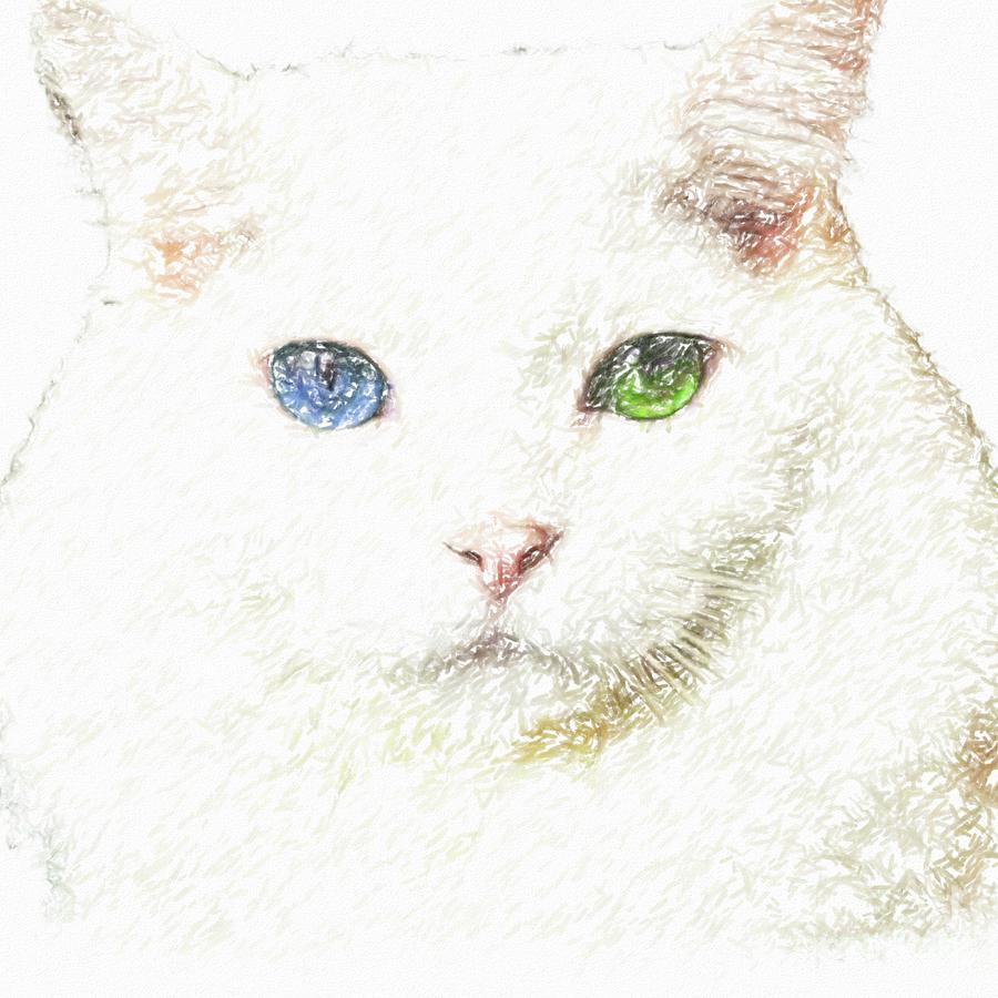 Minky closeup Drawing by Darrell Foster