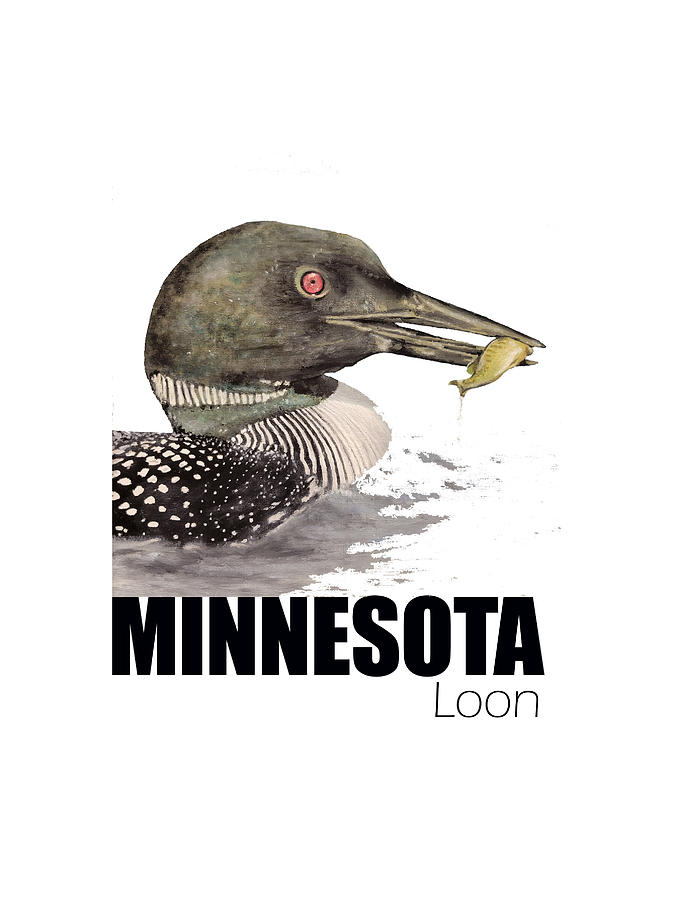 Minnesota Loon Colour Digital Art by Glen Heppner