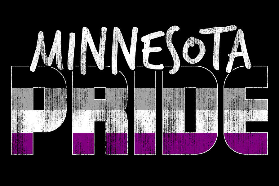 Minnesota Pride Asexual Flag Digital Art by Patrick Hiller Fine Art