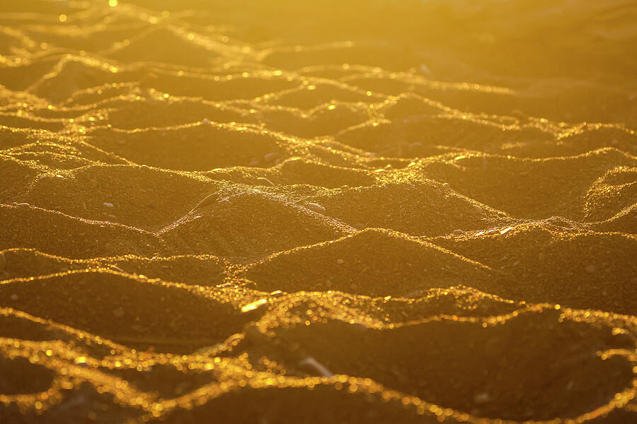 Minnesota Sandy Mounds Photograph by Renee Walsh Minnesota Sandy Mounds Photograph by Renee Walsh
