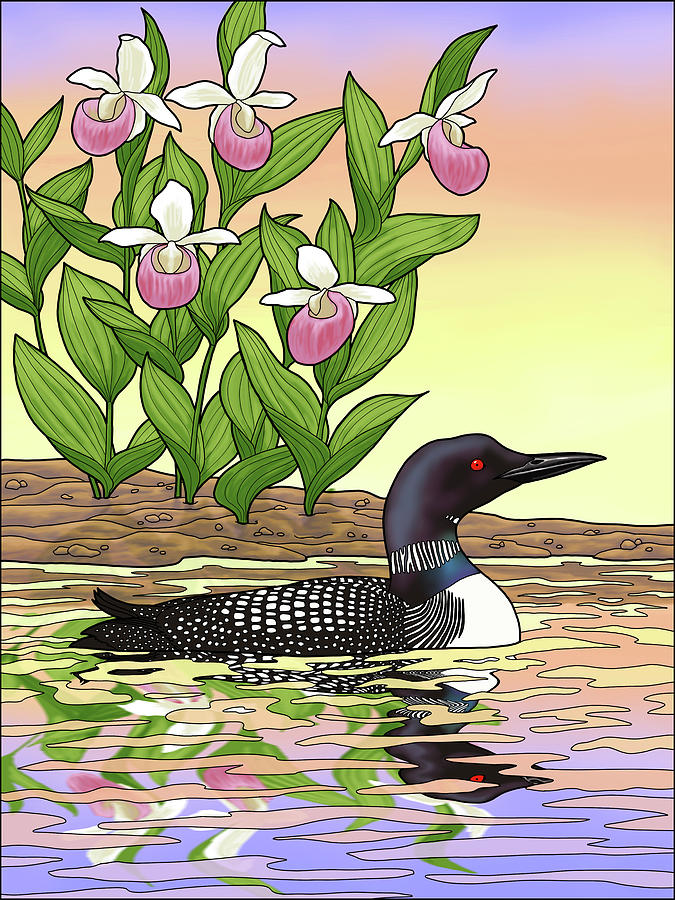 Bird Painting - Minnesota State Bird Loon and Flower Ladyslipper by Crista Forest