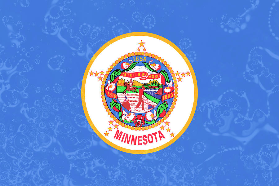 Minnesota State Flag Photograph