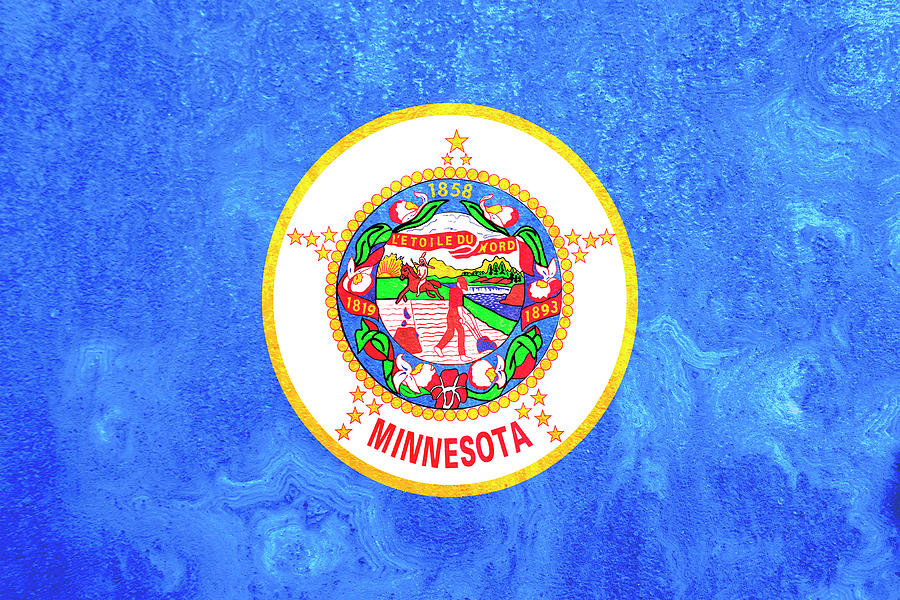 Minnesota State Flag  Pop Art Photograph