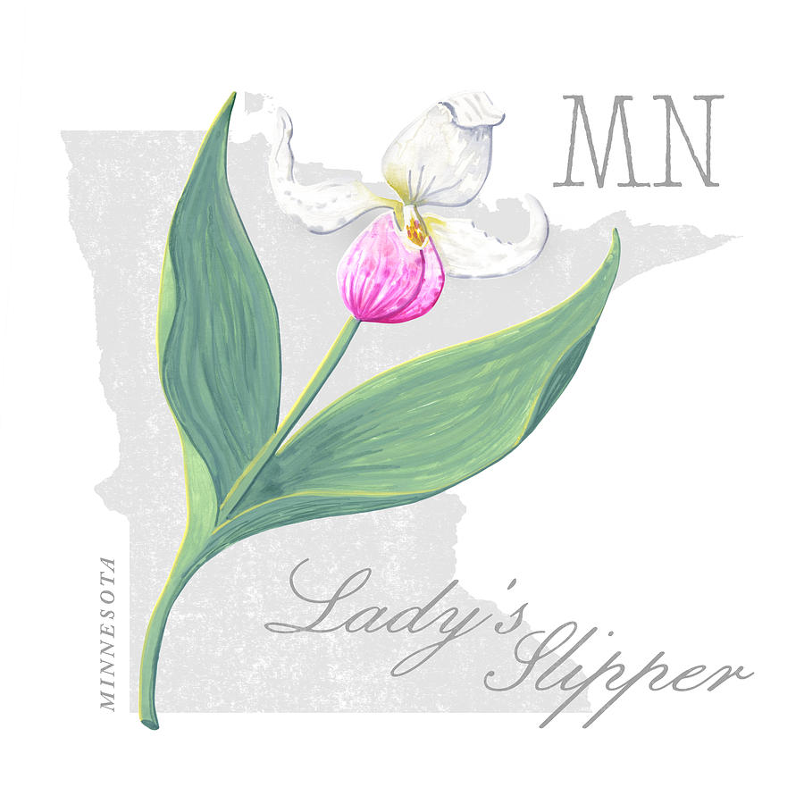Minnesota State Flower Apple Blossom Art by Jen Montgomery Painting by Jen Montgomery