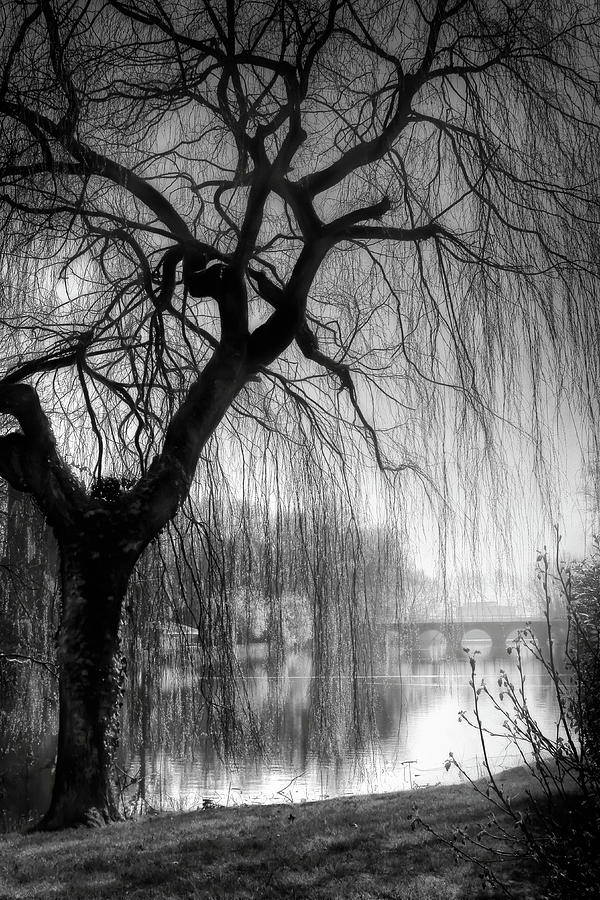 Minnewater Lake Bruges Black and White  Photograph by Carol Japp