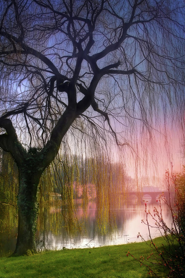Minnewater Lake Bruges Photograph by Carol Japp