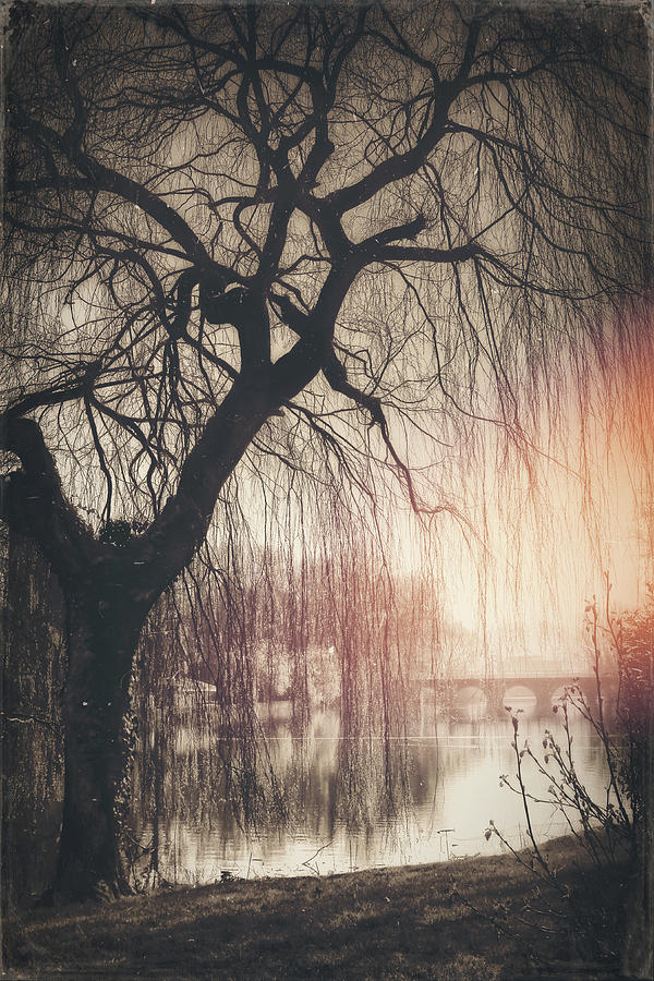 Minnewater Lake Bruges Vintage Sepia  Photograph by Carol Japp
