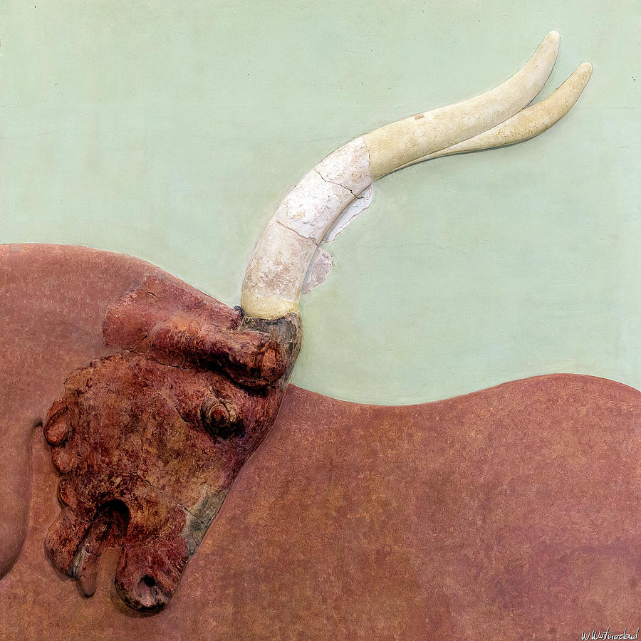 Minoan Charging Bull Photograph by Weston Westmoreland