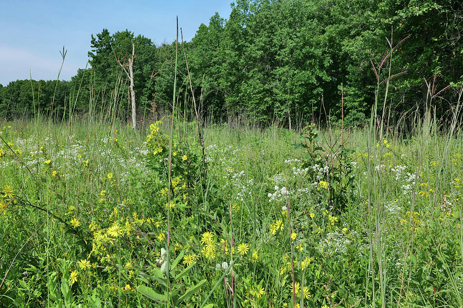 Minoke Prairie Photograph By Scott Kingery Fine Art America 