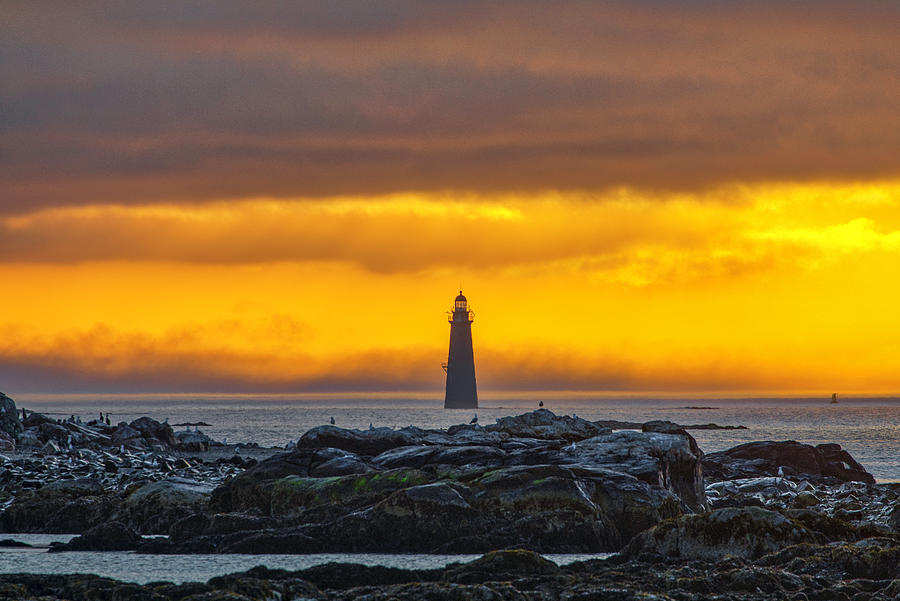 Minot Ledge Light in Cohasset Massachusetts Photograph by Juergen Roth