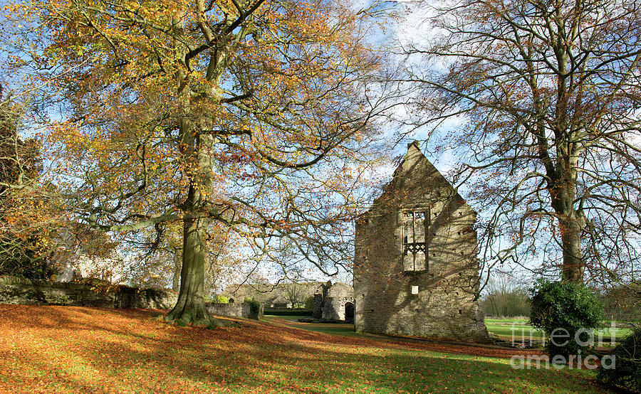 Minster Lovell Hall in Autumn Oxfordshire Photograph by Tim Gainey