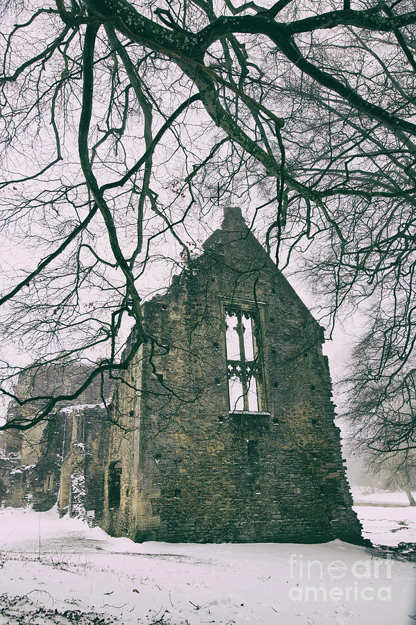 Minster Lovell Hall in the Snow Photograph by Tim Gainey