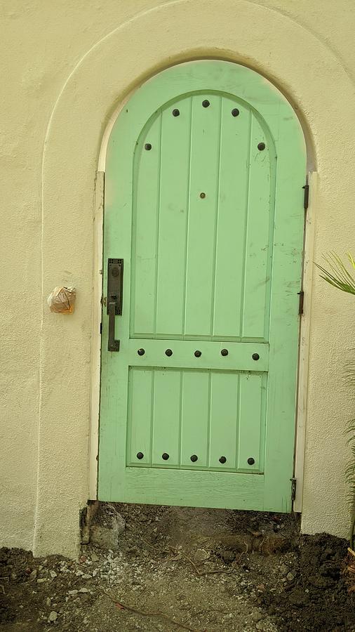 Mint Door Photograph by Jera Sky
